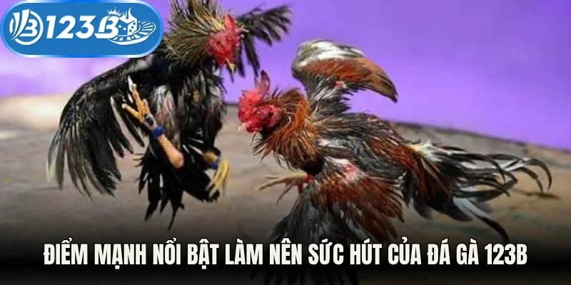 Điểm mạnh nổi bật làm nên sức hút của đá gà 123B