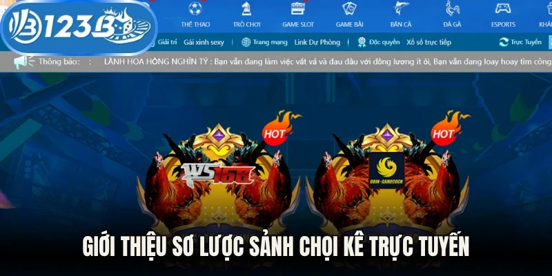 Giới thiệu sơ lược sảnh chọi kê trực tuyến